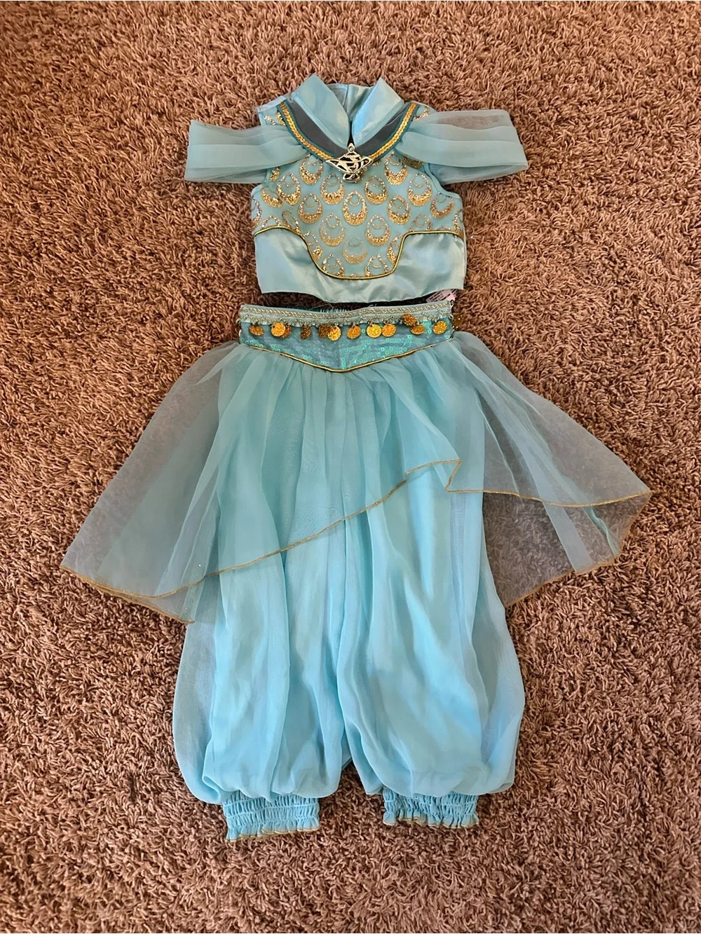 Disney Princess Jasmine Costume from Disneyland